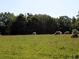 Fototour Wakenitz